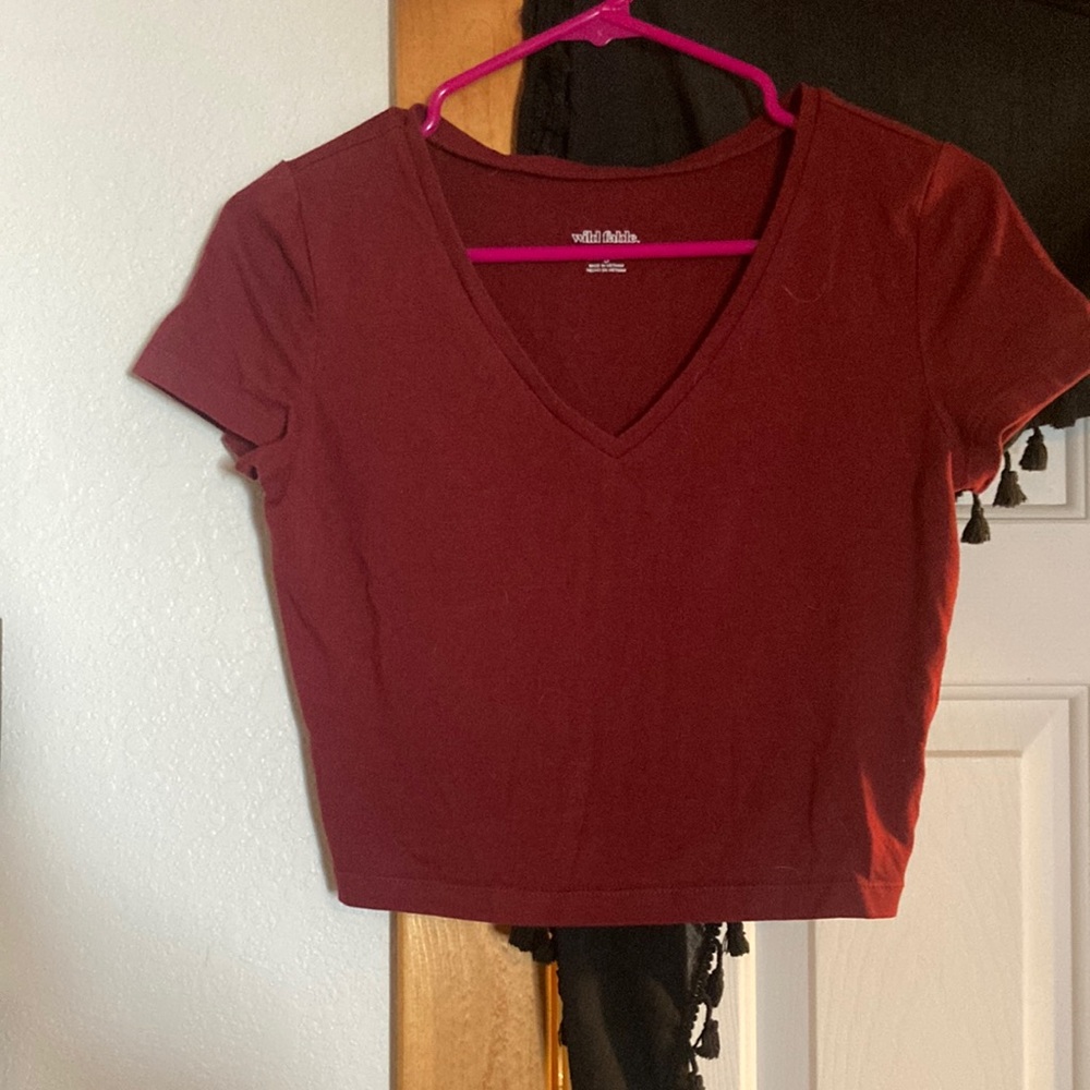 Wild fable crop top